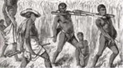 Geniş çaplı DNA araştırması köle ticaretinin Amerika'nın gen haritasına etkilerini ortaya koydu Geniş çaplı DNA araştırması köle ticaretinin Amerika'nın gen haritasına etkilerini ortaya koydu