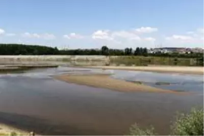 Bulgaristan'da Meriç Nehri'nden su içen ineklerin telef olduğu iddiası üzerine Türkiye harekete geçti Bulgaristan'da Meriç Nehri'nden su içen ineklerin telef olduğu iddiası üzerine Türkiye harekete geçti
