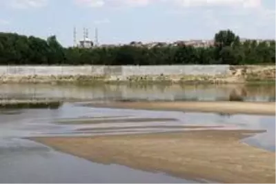 Bulgaristan'da Meriç Nehri'nden su içen ineklerin telef olduğu iddiası üzerine Türkiye harekete geçti Bulgaristan'da Meriç Nehri'nden su içen ineklerin telef olduğu iddiası üzerine Türkiye harekete geçti
