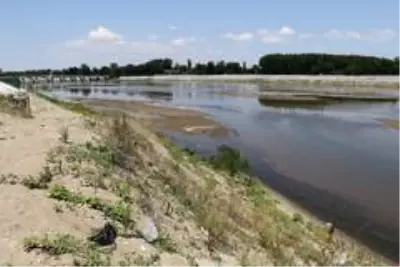Bulgaristan'da Meriç Nehri'nden su içen ineklerin telef olduğu iddiası üzerine Türkiye harekete geçti Bulgaristan'da Meriç Nehri'nden su içen ineklerin telef olduğu iddiası üzerine Türkiye harekete geçti