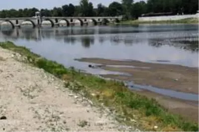 Bulgaristan'da Meriç Nehri'nden su içen ineklerin telef olduğu iddiası üzerine Türkiye harekete geçti Bulgaristan'da Meriç Nehri'nden su içen ineklerin telef olduğu iddiası üzerine Türkiye harekete geçti