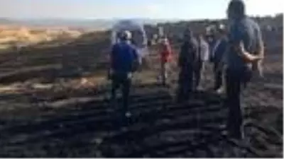 Buğday ekili tarla alev alev yandı! Yangına müdahale etmek isteyen çiftçi yaşamını yitirdi