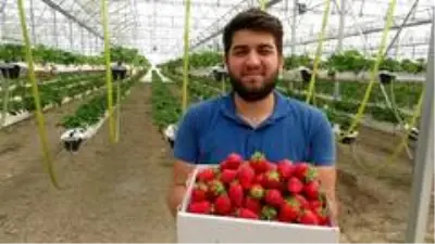 Türkiye'de bir ilk, bu çilekler asansör sistemle üretiliyor Türkiye'de bir ilk, bu çilekler asansör sistemle üretiliyor