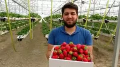 Son dakika haber! Türkiye'de bir ilk, bu çilekler asansör sistemle üretiliyor Son dakika haber! Türkiye'de bir ilk, bu çilekler asansör sistemle üretiliyor