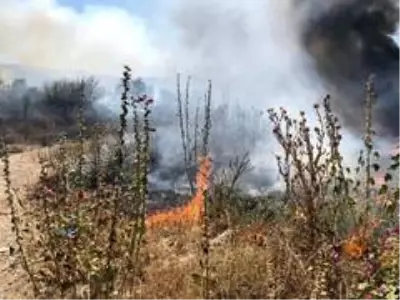 Bursa'da anız yangınları tehlike saçıyor Bursa'da anız yangınları tehlike saçıyor