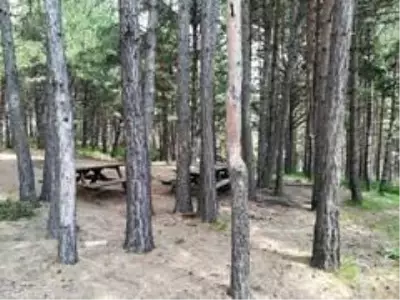 Çatak tabiat parkı köylere hizmet götürme birliğine devredildi Çatak tabiat parkı köylere hizmet götürme birliğine devredildi