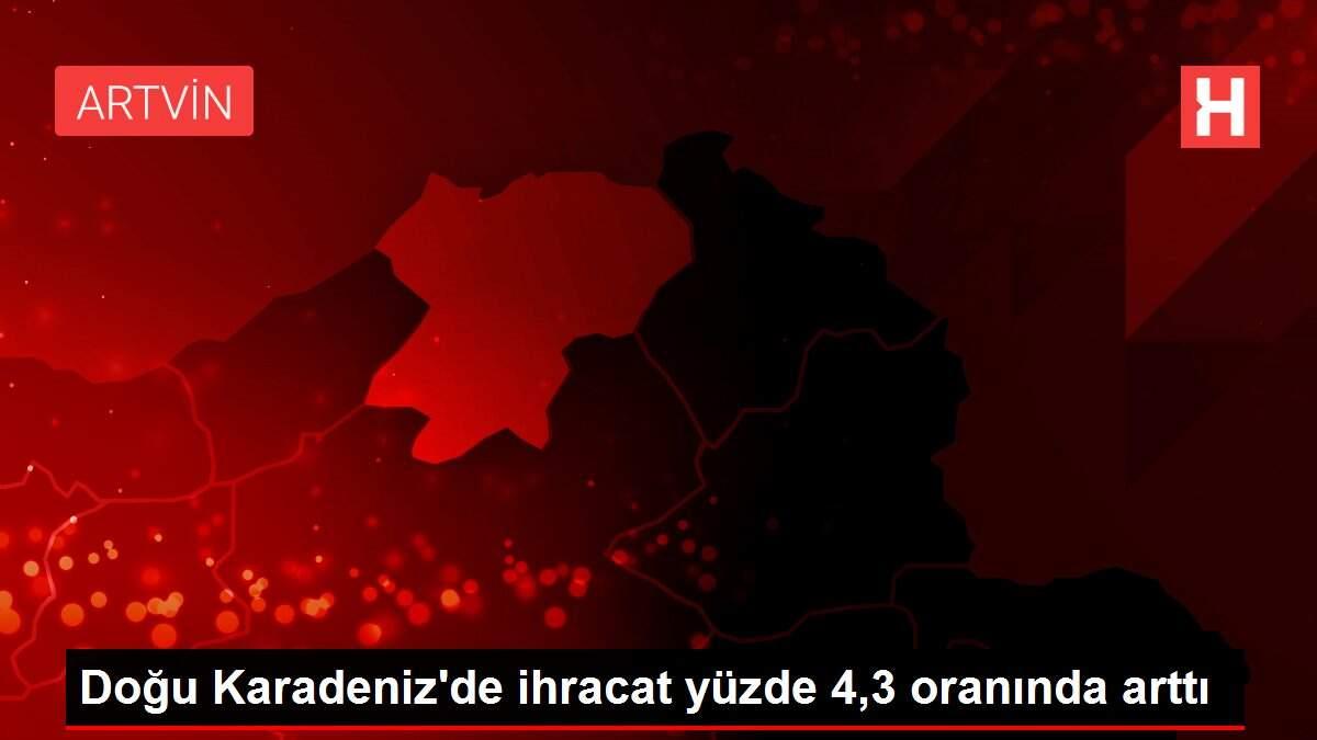 Doğu Karadeniz'de ihracat yüzde 4,3 oranında arttı