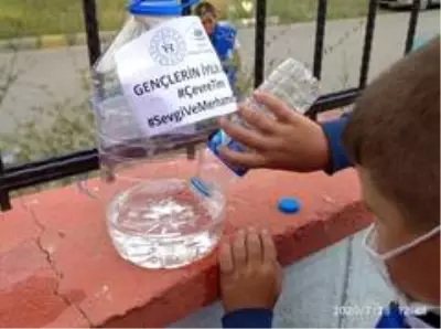 En genç gönüllüler sokak hayvanları için seferber En genç gönüllüler sokak hayvanları için seferber
