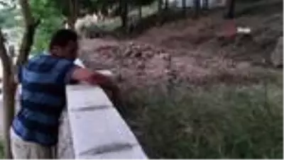 Gaziantep'te mezarlıkta bomba paniği Gaziantep'te mezarlıkta bomba paniği