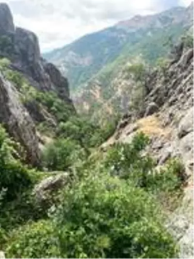 İçişleri Bakanlığı: Tunceli'de 'Yıldırım-4 Munzur-Kutu' operasyonu başlatıldı İçişleri Bakanlığı: Tunceli'de 'Yıldırım-4 Munzur-Kutu' operasyonu başlatıldı