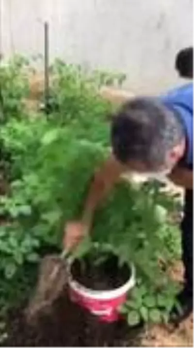 Son dakika haberleri... İstanbul'da uyuşturucu operasyonu: 6 gözaltı Son dakika haberleri... İstanbul'da uyuşturucu operasyonu: 6 gözaltı