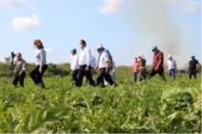 Son dakika haber | Karpuz üreticisi fiyattan memnun Son dakika haber | Karpuz üreticisi fiyattan memnun