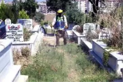 Son dakika haber: Mezarlıklarda bayram temizliği Son dakika haber: Mezarlıklarda bayram temizliği