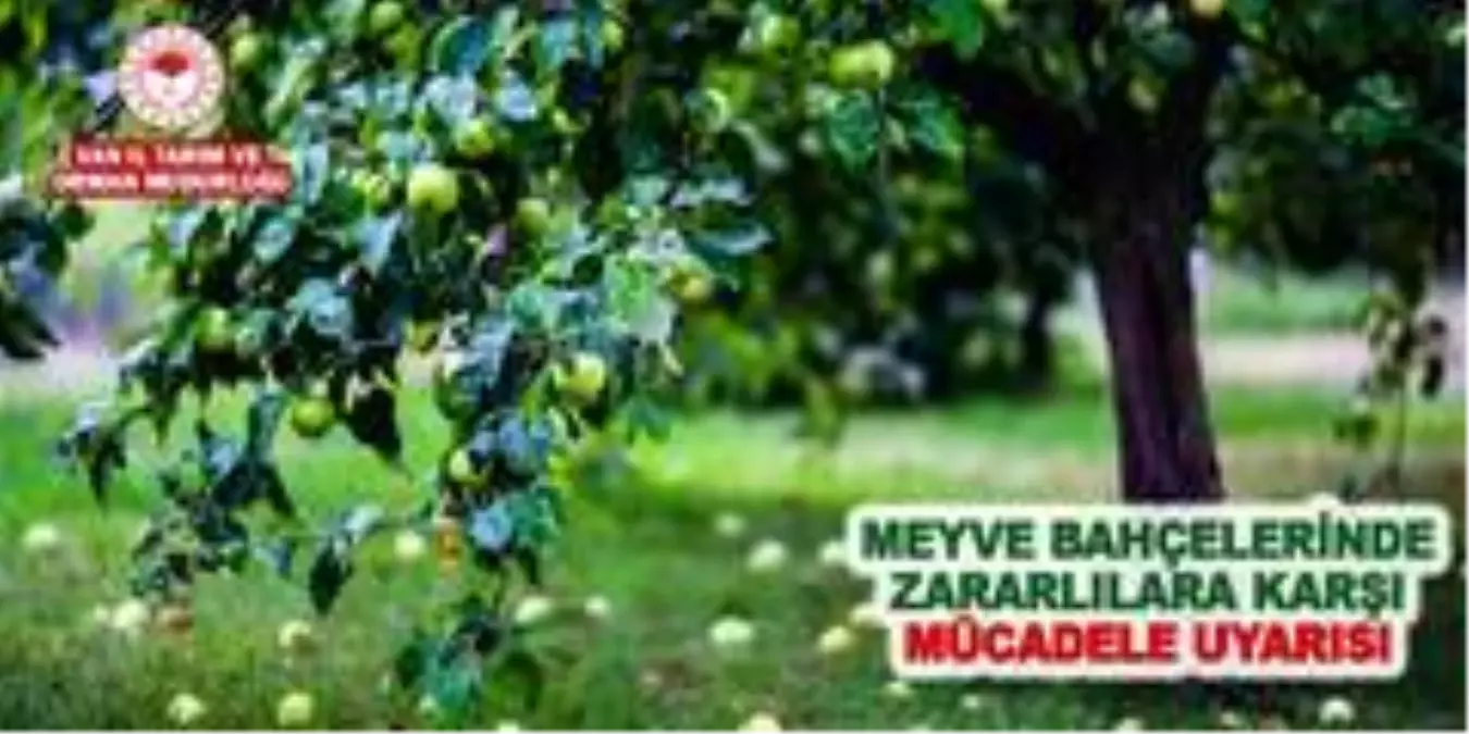 Müdür Görentaş'tan meyve bahçelerindeki zararlılara karşı uyarı