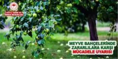 Müdür Görentaş'tan meyve bahçelerindeki zararlılara karşı uyarı Müdür Görentaş'tan meyve bahçelerindeki zararlılara karşı uyarı