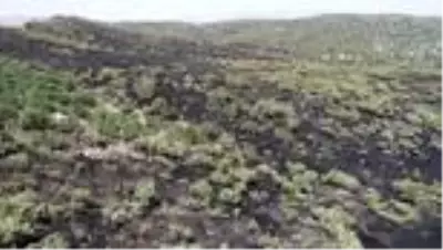 Örtü yangını söndürüldü Örtü yangını söndürüldü