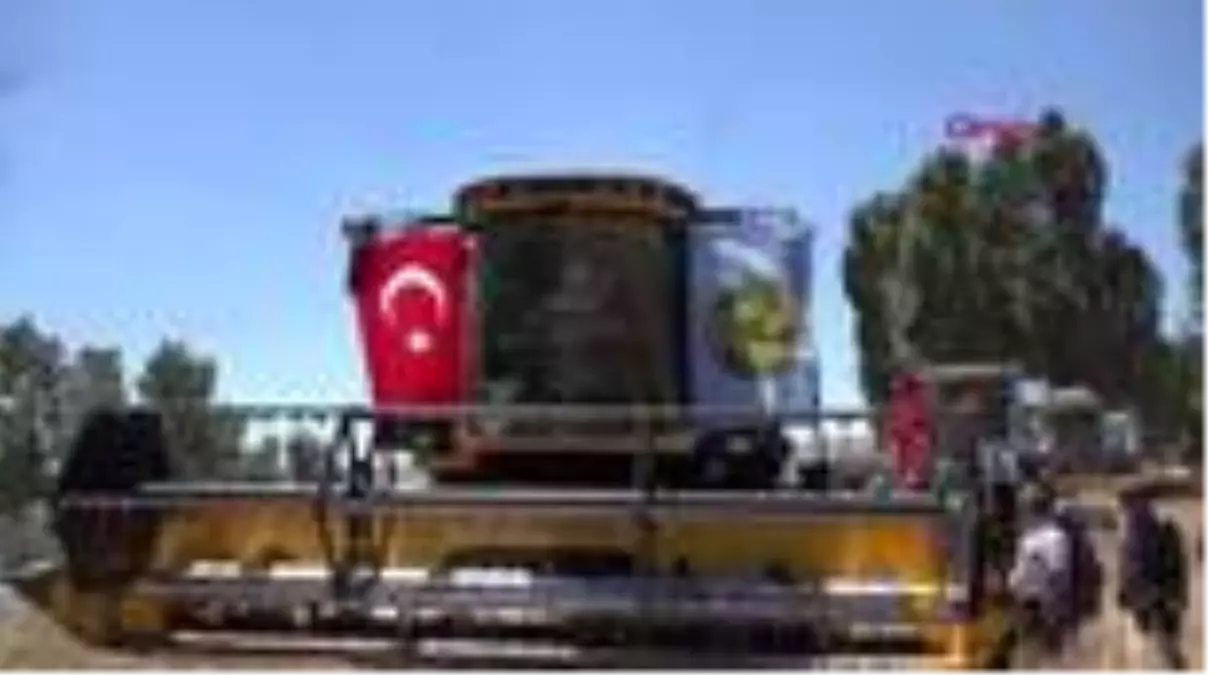 Sivas'a özgü zeron buğdayının hasadı yapıldı