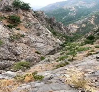 Tunceli'de 'Yıldırım-4 Munzur-Kutu Operasyonu' başlatıldı Tunceli'de 'Yıldırım-4 Munzur-Kutu Operasyonu' başlatıldı