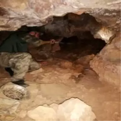 Tunceli'de 'Yıldırım-4 Munzur-Kutu Operasyonu' başlatıldı Tunceli'de 'Yıldırım-4 Munzur-Kutu Operasyonu' başlatıldı