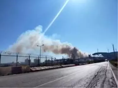 Aliağa'da Star Rafineri içerisindeki otluk alanda yangın Aliağa'da Star Rafineri içerisindeki otluk alanda yangın