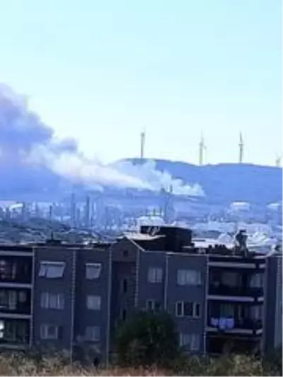 Aliağa'da Star Rafineri içerisindeki otluk alanda yangın Aliağa'da Star Rafineri içerisindeki otluk alanda yangın