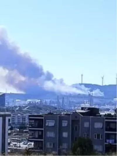 Aliağa'da Star Rafineri içerisindeki otluk alanda yangın Aliağa'da Star Rafineri içerisindeki otluk alanda yangın