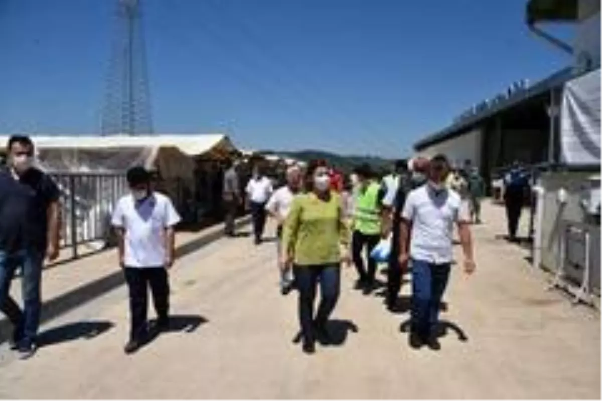 Başkan Hürriyet'ten hayvan pazarına ziyaret