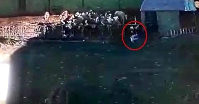 Boğa saldırdığı sahibini öldürdü, o anlar kameraya yansıdı Boğa saldırdığı sahibini öldürdü, o anlar kameraya yansıdı