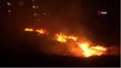 Bornova'da rekreasyon alanının üst kısmında ot yangını Bornova'da rekreasyon alanının üst kısmında ot yangını