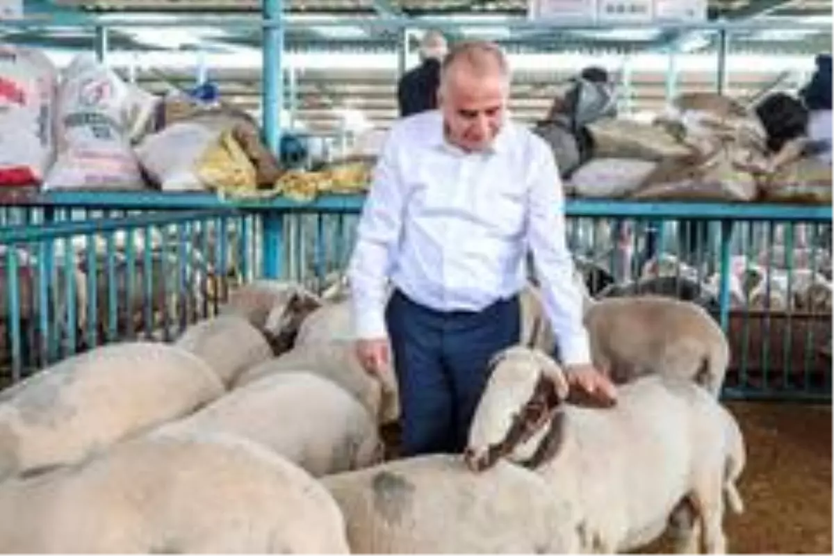 Canlı Hayvan Pazarı kurban boyunca açık olacak