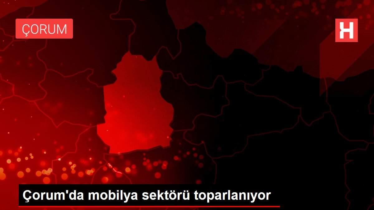 Erdal Mobilya Doseme Mobilyaya Dair Hersey