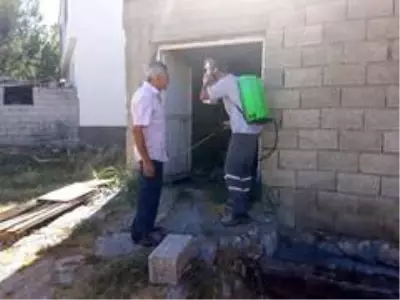 Son dakika güncel: Gölbaşı Belediyesi ilaçlama çalışmalarına devam ediyor
