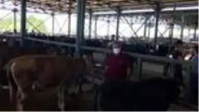 Hayvan pazarlarında satışlar Kovid-19 tedbirleriyle sürüyor - ESKİŞEHİR Hayvan pazarlarında satışlar Kovid-19 tedbirleriyle sürüyor - ESKİŞEHİR