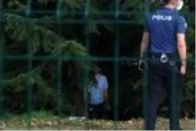 Kağıthane D-100 kenarında ağaca asılı erkek cesedi bulundu Kağıthane D-100 kenarında ağaca asılı erkek cesedi bulundu
