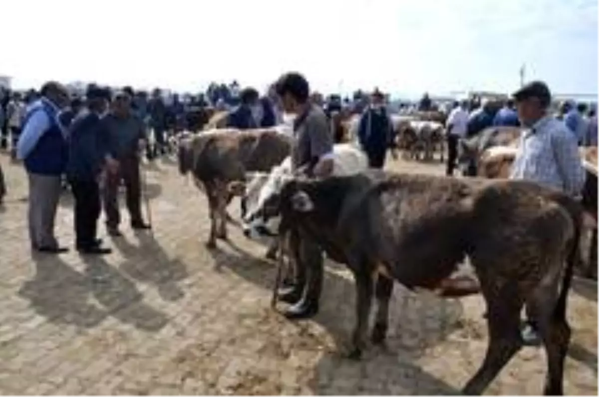 Kars'ta Kurban Pazarı'nda son gün yoğunluğu