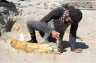 Kayseri'de kazı çalışmaları yeniden başladı; 7,5 milyon yıllık 2 fosil daha bulundu Kayseri'de kazı çalışmaları yeniden başladı; 7,5 milyon yıllık 2 fosil daha bulundu