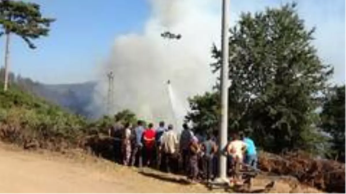 Köylüler yangın söndürme çalışmalarını üzüntüyle izledi
