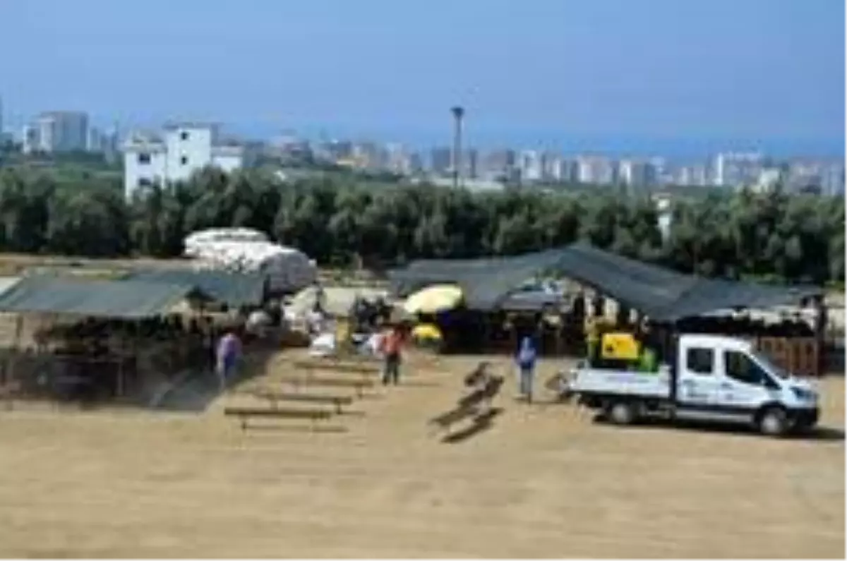 Kurban satış pazarları ilaçlanıyor