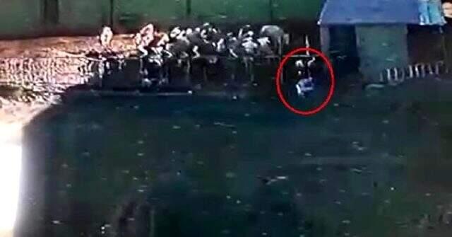 Kurbanlık boğa dehşet saçtı! Boğanın saldırısına uğrayan besici hayatını kaybetti