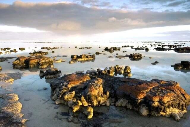 Mars'ta hayat var mı? NASA, yeni robotu ile Mars'ta hayat arayacak