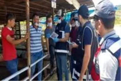 Son dakika haberi: Ordu'da hayvan pazarlarına sıkı denetim Son dakika haberi: Ordu'da hayvan pazarlarına sıkı denetim