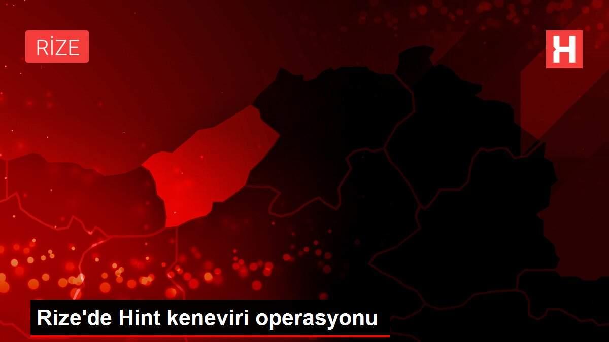 Rize'de Hint keneviri operasyonu Rize'de Hint keneviri operasyonu