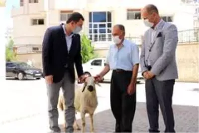 Şehit ailelerine kurbanlık koç Şehit ailelerine kurbanlık koç