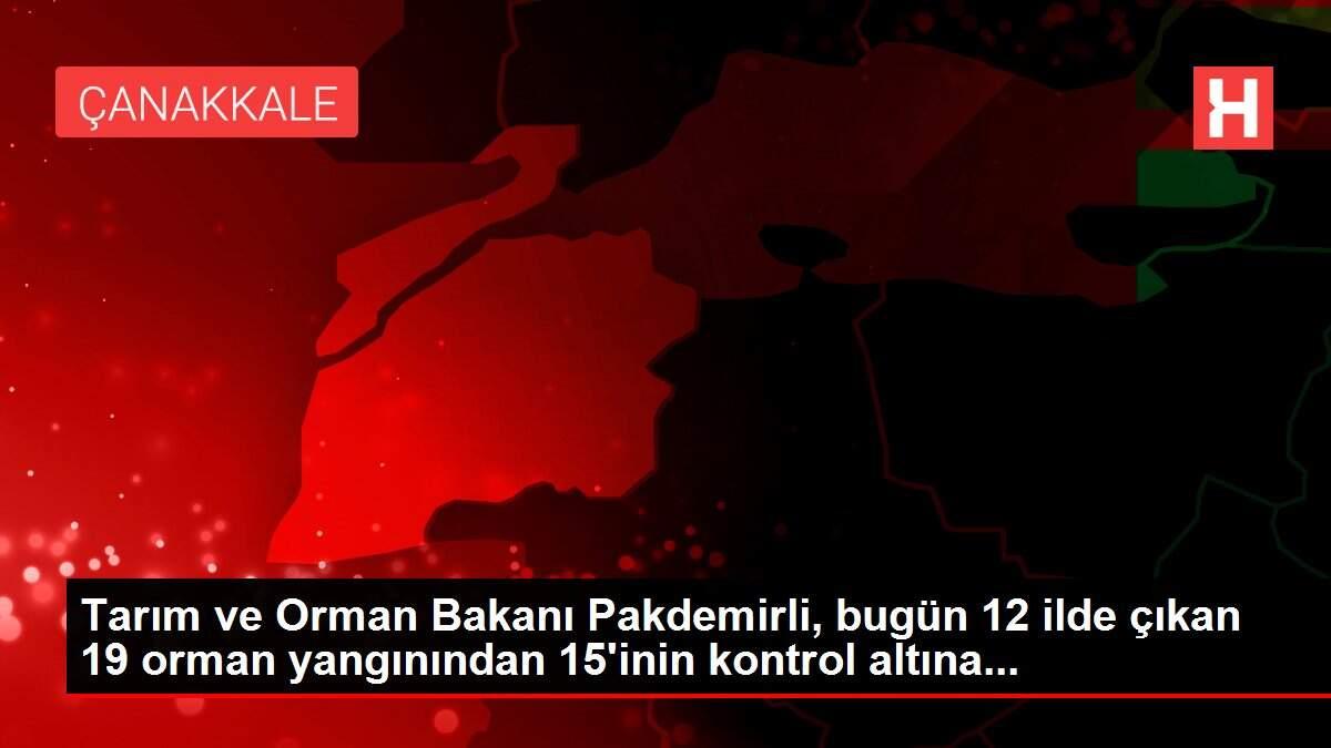 Tarım ve Orman Bakanı Pakdemirli, bugün 12 ilde çıkan 19 orman yangınından 15'inin kontrol altına...
