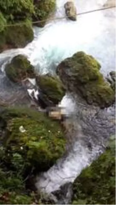 Tarsus Şelalesi'nde ceset bulundu Tarsus Şelalesi'nde ceset bulundu