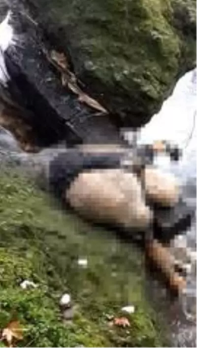 Tarsus Şelalesi'nde ceset bulundu Tarsus Şelalesi'nde ceset bulundu