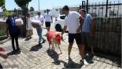 Turizmin gözdesi Bodrum'da 'gelin koçu' geleneği yaşatılıyor Turizmin gözdesi Bodrum'da 'gelin koçu' geleneği yaşatılıyor
