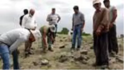 Van'da bir mahalleyi akrepler istila etti, her taşın altından onlar çıkıyor Van'da bir mahalleyi akrepler istila etti, her taşın altından onlar çıkıyor