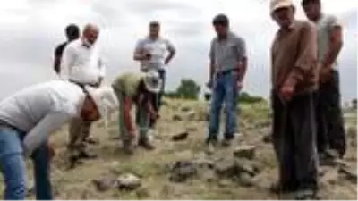 Van'da bir mahalleyi akrepler istila etti, her taşın altından onlar çıkıyor Van'da bir mahalleyi akrepler istila etti, her taşın altından onlar çıkıyor