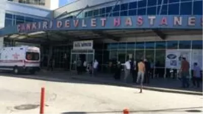 Acemi kasaplar iş başında Acemi kasaplar iş başında